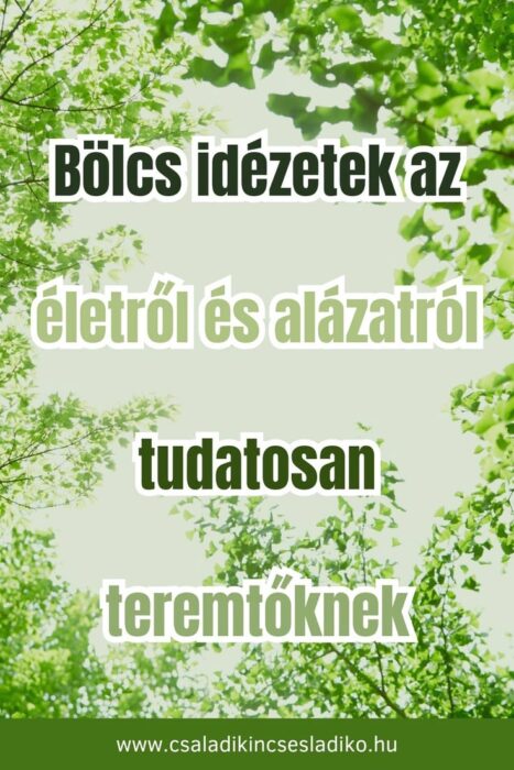 bölcs idézetek