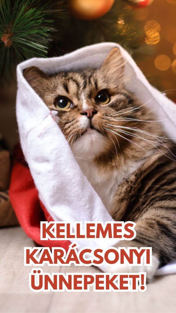 karácsonyi képeslap